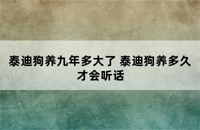 泰迪狗养九年多大了 泰迪狗养多久才会听话